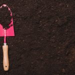 Грунт плодородный с доставкой: характеристики и условия применения