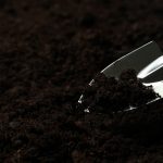 Грунт плодородный с доставкой: характеристики и условия применения